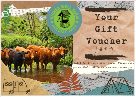 Gift Vouchers